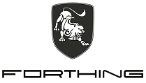FORTHING